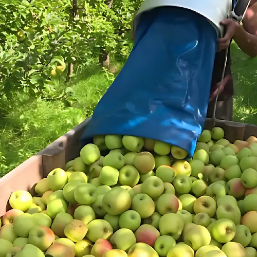 Ramassage de pommes, Agri-Pro